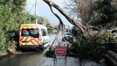 Snow and ice warnings for most of UK